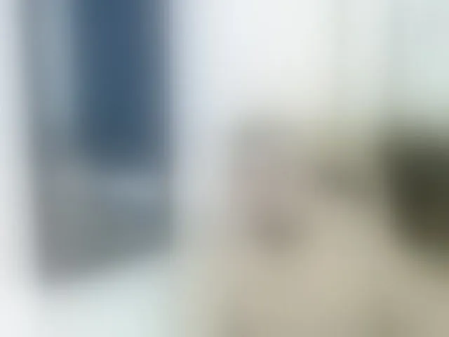 Live sex webcam photo for Dallas-Whitee #293019685