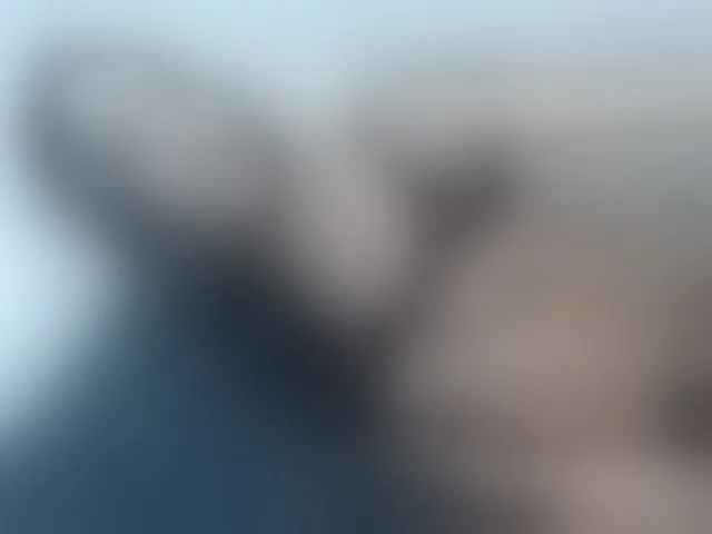 Live sex webcam photo for Danielaxxx1 #293264390