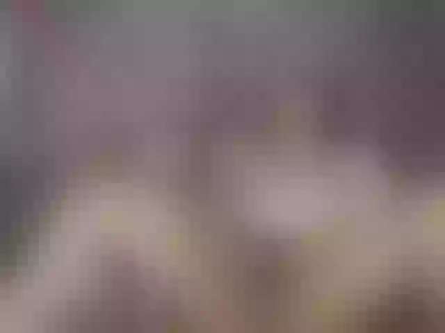 Live sex webcam photo for Danna-Paolaa #291108701