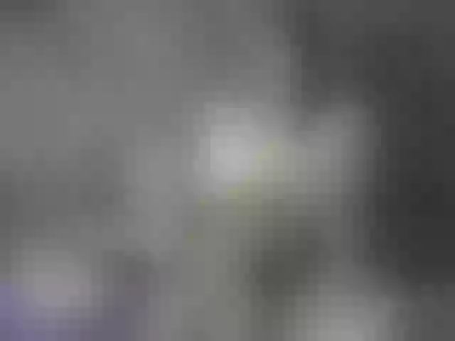 Live sex webcam photo for Danna-Paolaa #291829398
