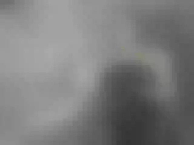 Live sex webcam photo for Danna-Paolaa #291891004