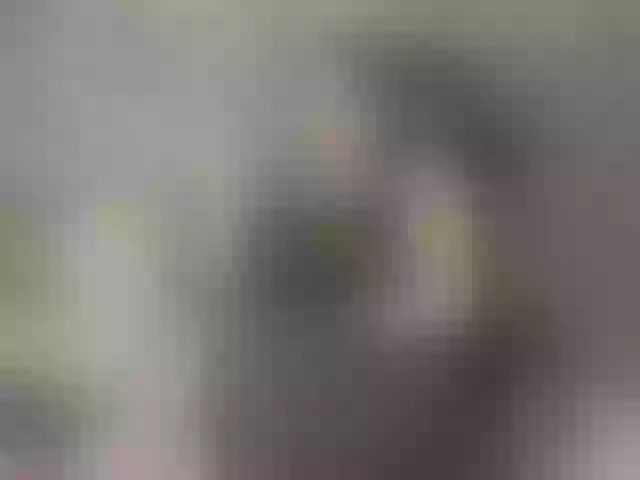Live sex webcam photo for Danna-Paolaa #292146283