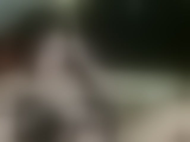 Live sex webcam photo for DannaKeys #294133736