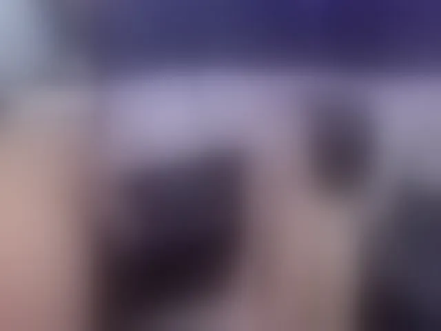Live sex webcam photo for Daring-Latinavip #293254067