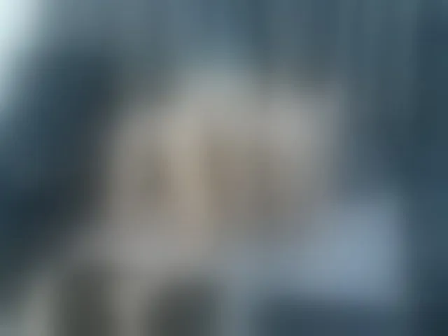 Live sex webcam photo for Dark-ebony #294130412