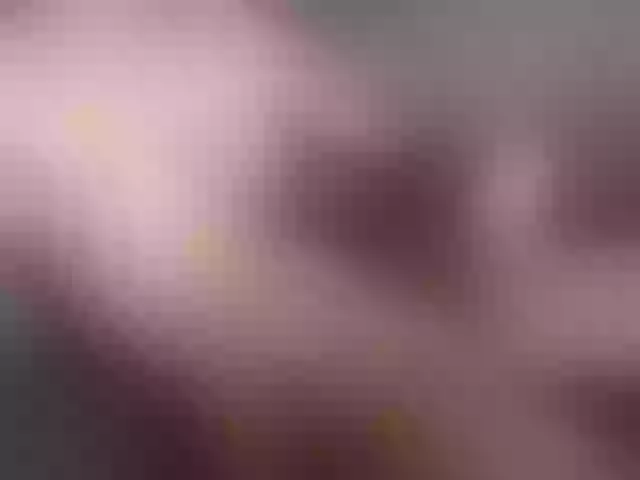 Live sex webcam photo for DarkSidePret #290491689