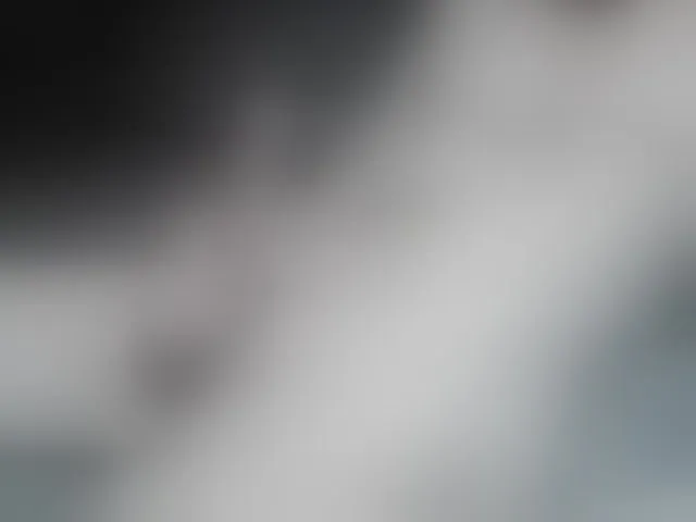 Live sex webcam photo for DarkSidePret #292612442