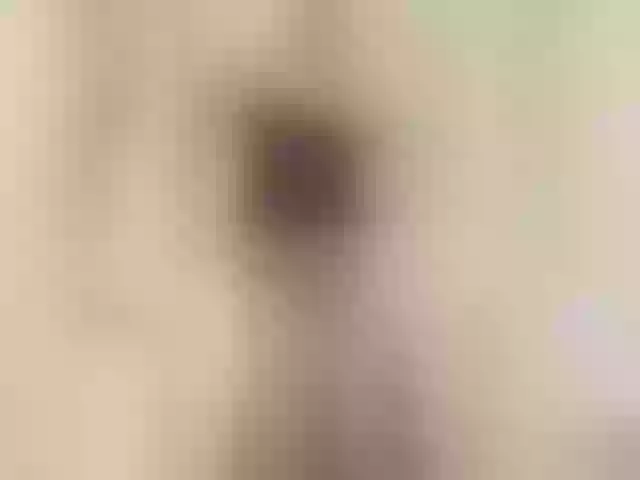 Live sex webcam photo for DashaKisa951 #290490197
