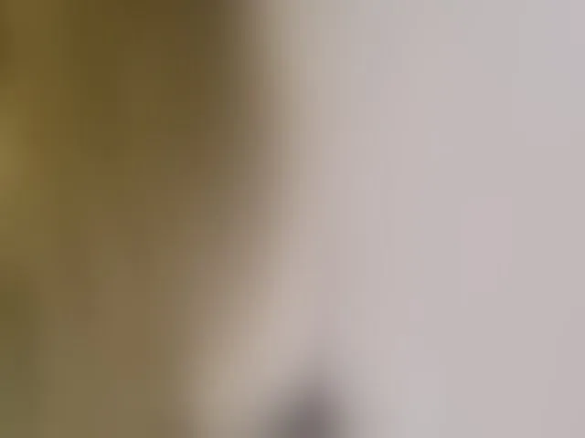 Live sex webcam photo for DashaKisa951 #293127596