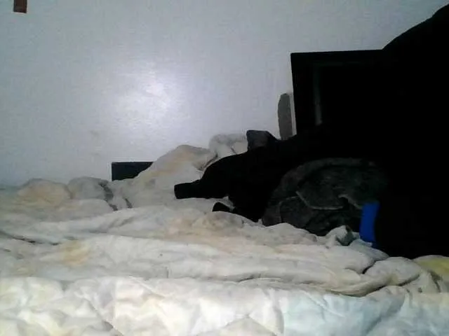 Live sex webcam photo for Daszler #291297991