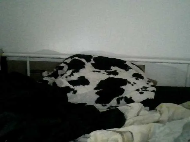 Live sex webcam photo for Daszler #291301188