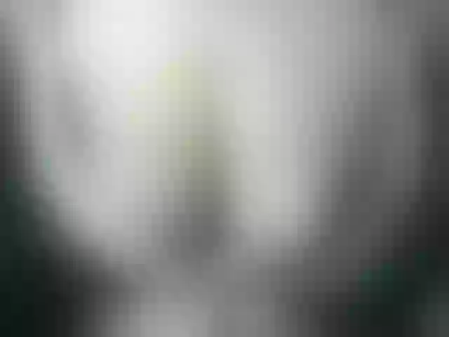 Live sex webcam photo for Daydiamond #290666899