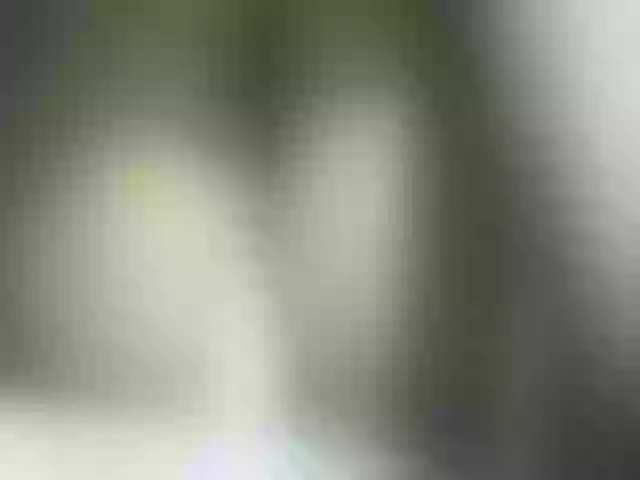 Live sex webcam photo for Daydiamond #291297648
