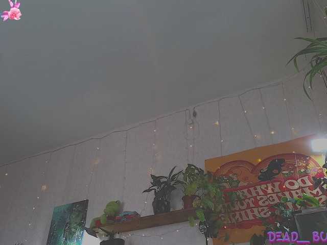 Live sex webcam photo for DeadButterfly #290479093