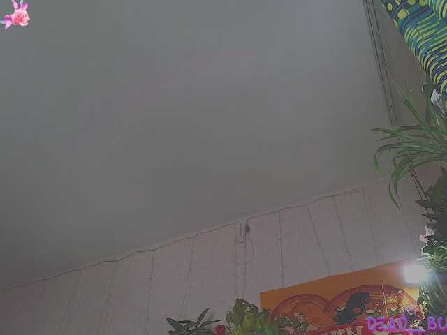 Live sex webcam photo for DeadButterfly #290500024