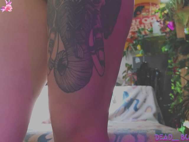 Live sex webcam photo for DeadButterfly #290723328