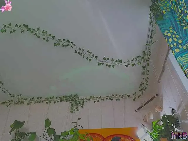 Live sex webcam photo for DeadButterfly #291817422