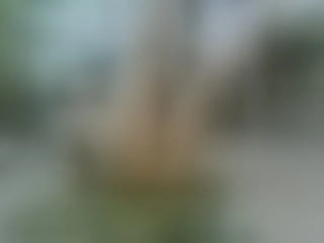 Live sex webcam photo for DeadButterfly #293257329