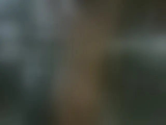 Live sex webcam photo for DeadButterfly #293943497