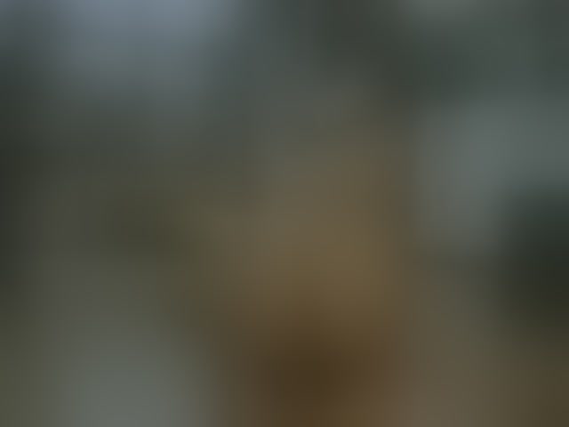 Live sex webcam photo for DeadButterfly #294110939