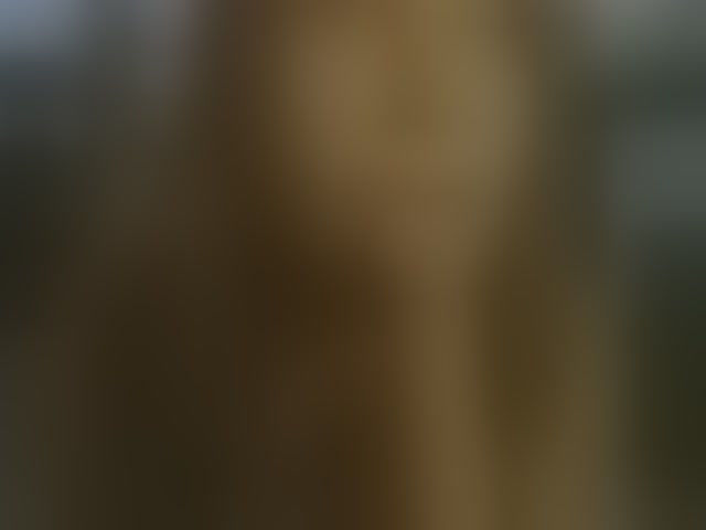 Live sex webcam photo for DeadButterfly #294237756