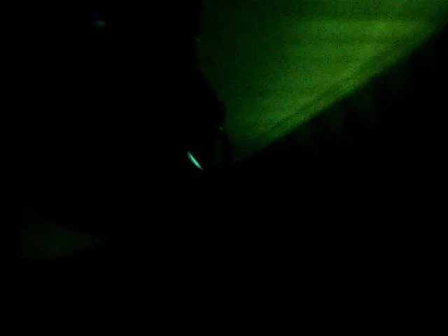 Live sex webcam photo for Delete3132 #290483476