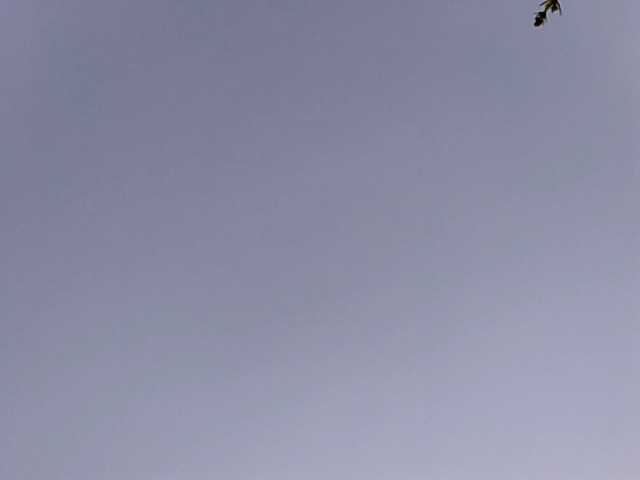 Live sex webcam photo for Delete3132 #291200928