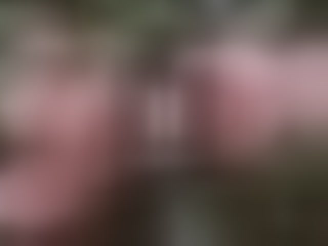 Live sex webcam photo for Delicecatmyau #294253413