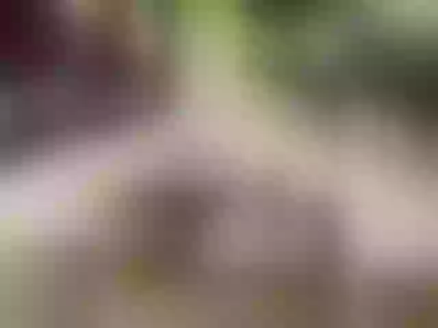 Live sex webcam photo for Denis5505 #278043697