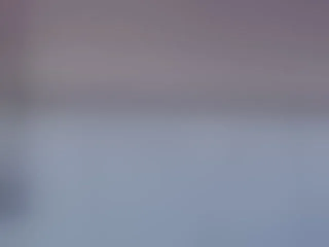 Live sex webcam photo for DeniseSun #293467829