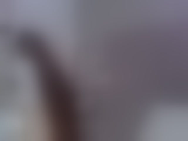 Live sex webcam photo for DeniseSun #294287906