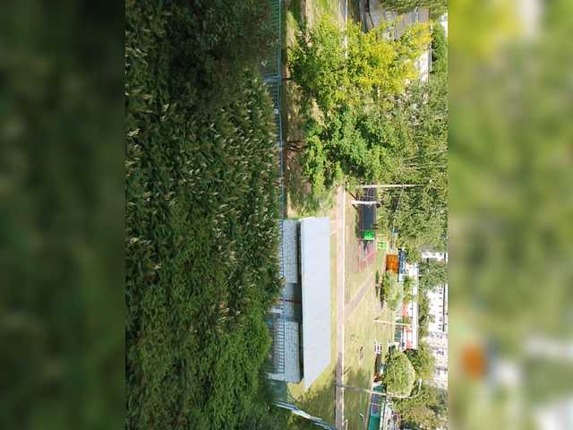 Live sex webcam photo for Denjoy3 #275543775