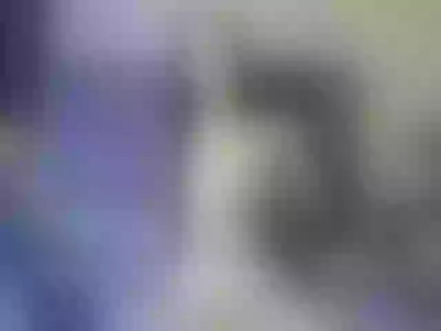 Live sex webcam photo for Deny-rose #277816359