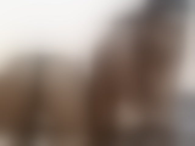 Live sex webcam photo for Desireeee-1 #294025626