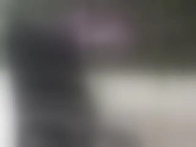 Live sex webcam photo for DestinyHills #293998543
