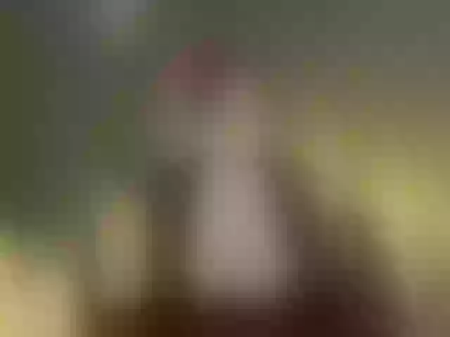 Live sex webcam photo for Detka-bez-monetki #292005284