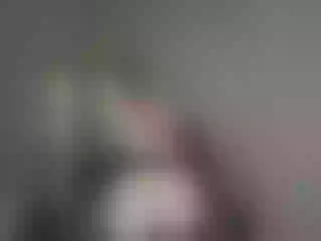 Live sex webcam photo for Detka-bez-monetki #292155687
