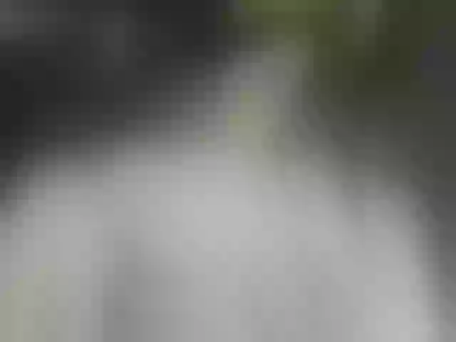 Live sex webcam photo for Detka-bez-monetki #292263925