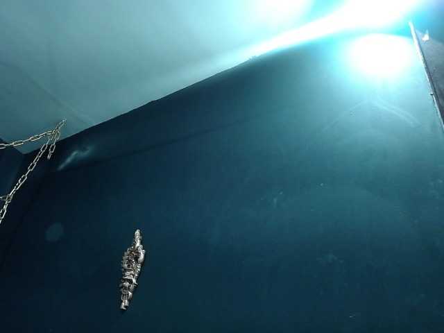 Live sex webcam photo for DevaRost #273264126