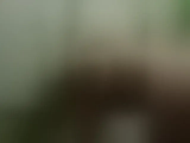 Live sex webcam photo for Devil87corp #273152256