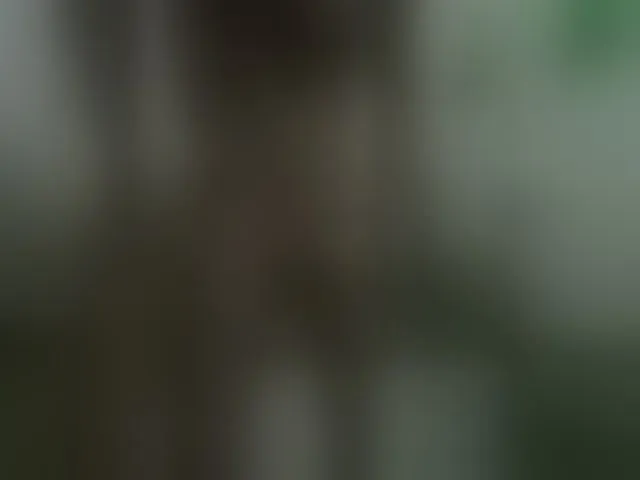 Live sex webcam photo for Devil87corp #274420448