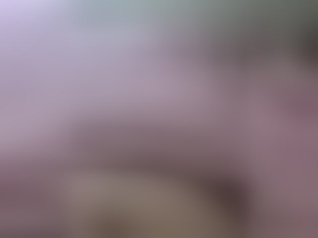 Live sex webcam photo for Devochka1010 #294037706