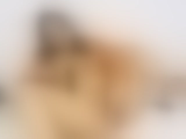 Live sex webcam photo for DianaMoon #294185302