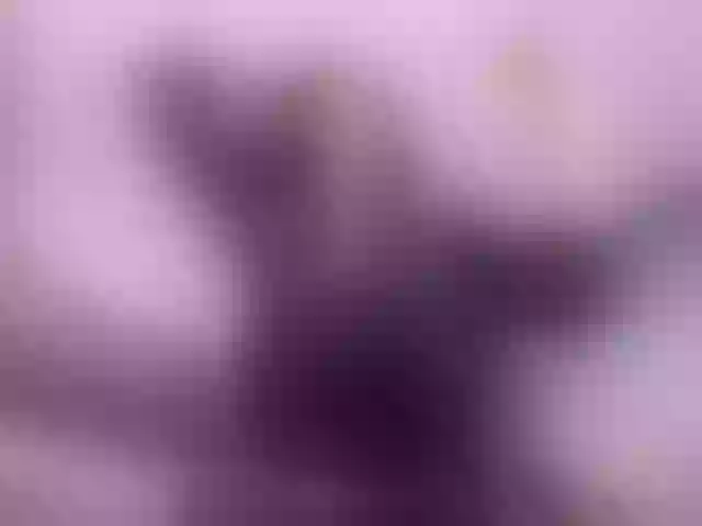Live sex webcam photo for DianeCalder #290515033