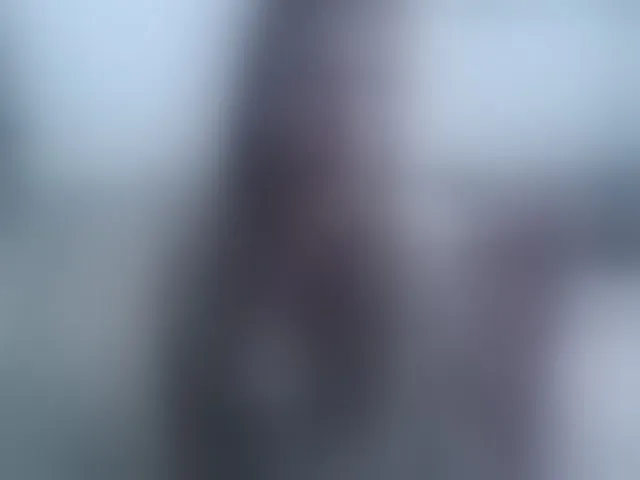 Live sex webcam photo for DiddySweet1 #293669746