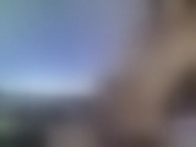 Live sex webcam photo for Dieffenbachia #271720157