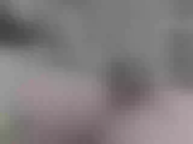 Live sex webcam photo for Dieffenbachia #272371352