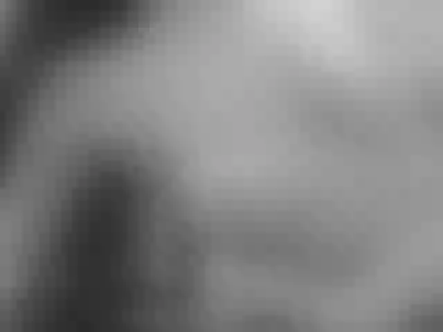 Live sex webcam photo for Dieffenbachia #272584140