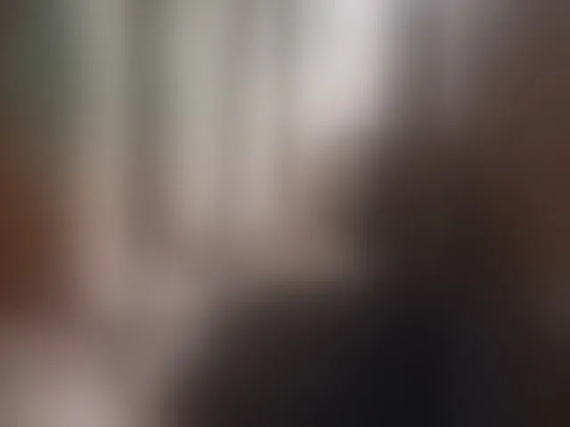 Live sex webcam photo for Dilfina #293762901