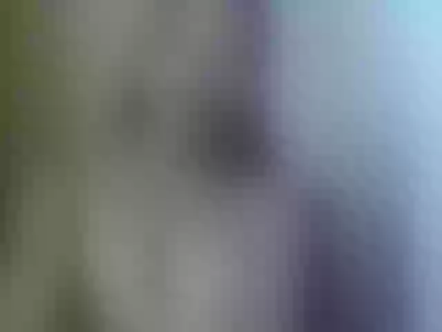 Live sex webcam photo for Dilliannah #292011776